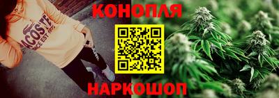 сатива Кинель