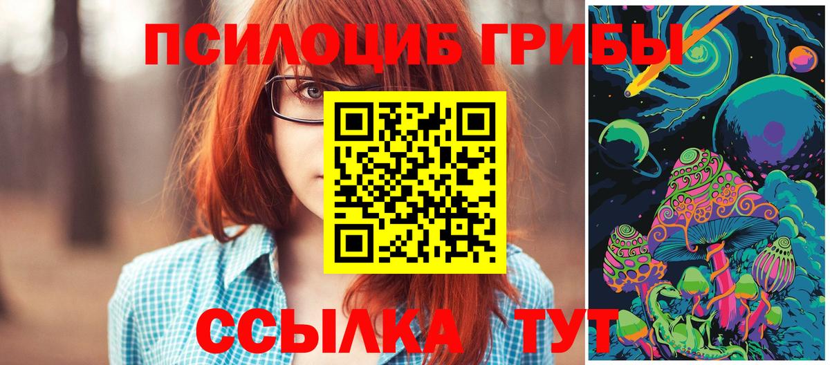Домодедово  Псилоцибиновые грибы Magic Shrooms  Вход с VPN  Псилоцибиновые грибы Cubensis 